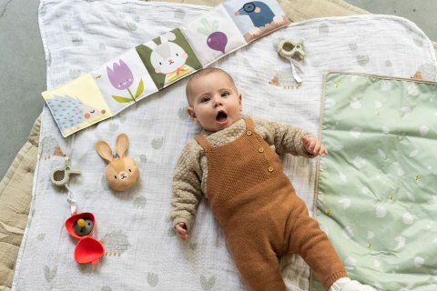 Zestaw na Zewnątrz Taf Toys - Przygoda i Zabawa na Świeżym Powietrzu na zewnątrz