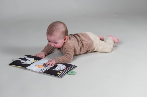 Zestaw niezbędnik do leżenia na brzuszku - Zabawka wspierająca rozwój motoryczny i poznawczy