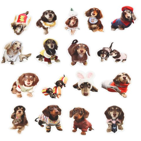 Zestaw Naklejki Z Pieskami Spaniel Papierowe Do Ozdabiania 50 szt.