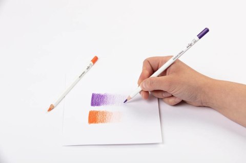 Kredki ołówkowe Darwi 24 kolory