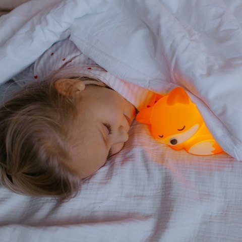 MARY'S MW61758 Lampka nocna LED Lisek