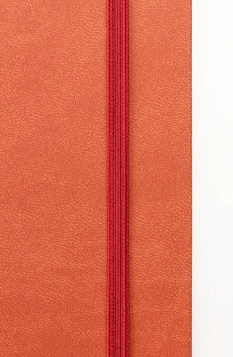 Szkicownik DARWI A4 140g Terakota