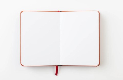 Szkicownik DARWI A6 140g Terakota