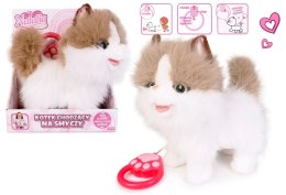 ARTYK 181818 Kot chodzący na smyczy NATALIA biało-rudy