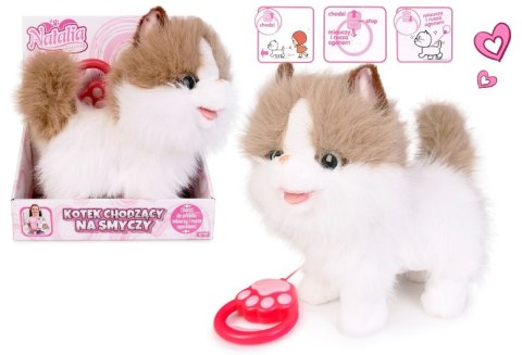 ARTYK 181818 Kot chodzący na smyczy NATALIA biało-rudy