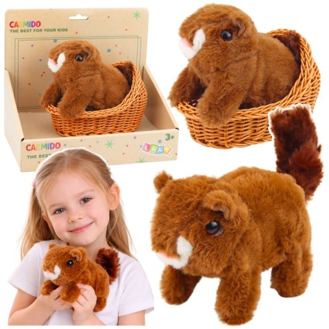 Pluszowa Interaktywna Wiewiórka W Koszyku Chodzi Wydaje Dźwięki Brązowa