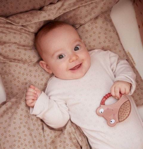 Filibabba Gryzak chłodzący 2 szt. Pszczoła i gąsienica