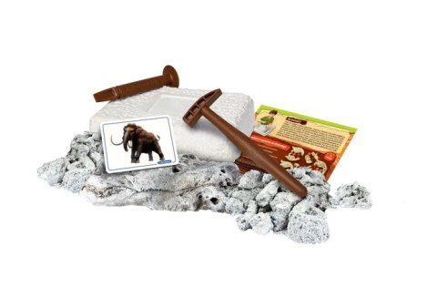 Naukowa Zabawa Skamieniałości Szkielet Mamuta Język Polski Clementoni 50859