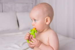 GILIGUMS GG 58428 Gryzak kukurydza