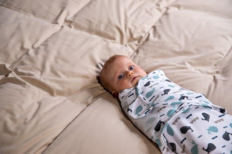 B-Wrap otulacz Ocean Whales small do 4 m-cy