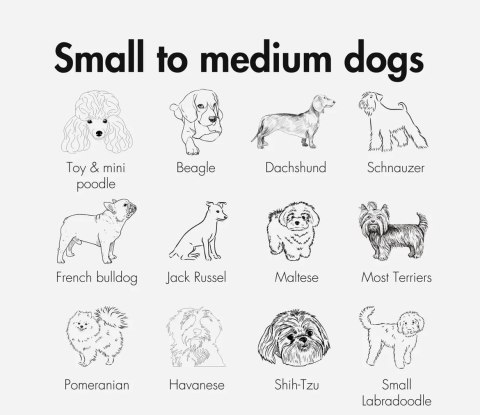 Komfortowa poduszka do siedzenia KVISP Grey