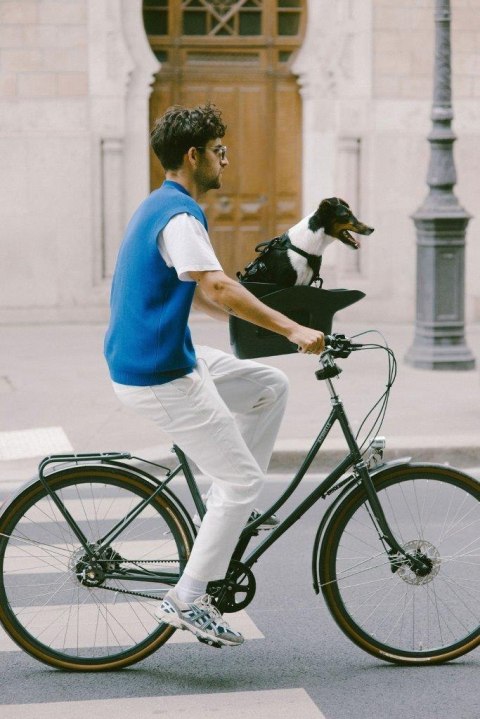 Koszyk rowerowy dla psa KVISP gray M