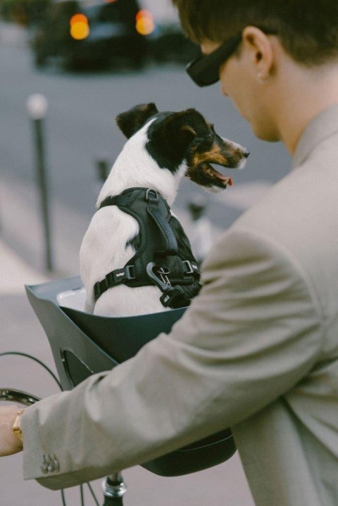 Koszyk rowerowy dla psa KVISP gray M