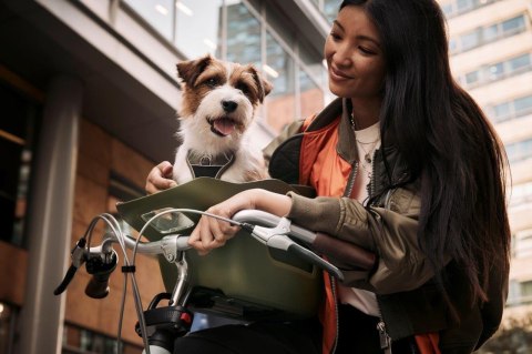 Koszyk rowerowy dla psa KVISP gray S