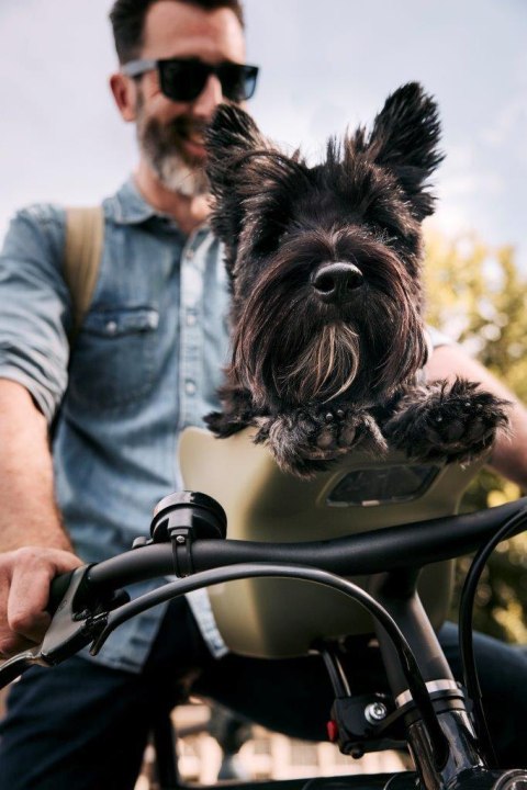 Koszyk rowerowy dla psa KVISP gray S