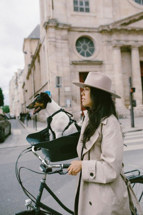 Koszyk rowerowy dla psa KVISP gray S