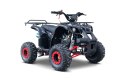 Pojazd Quad Spalinowy WILDPEAK 110cc Czerwony