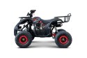 Pojazd Quad Spalinowy WILDPEAK 110cc Czerwony
