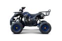 Pojazd Quad Spalinowy WILDPEAK 110cc Niebieski