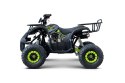 Pojazd Quad Spalinowy WILDPEAK 110cc Zielony