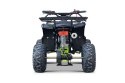 Pojazd Quad Spalinowy WILDPEAK 110cc Zielony