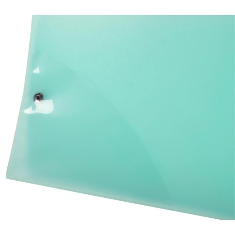 Segregator 2 ringi 160x265mm Pastelowy