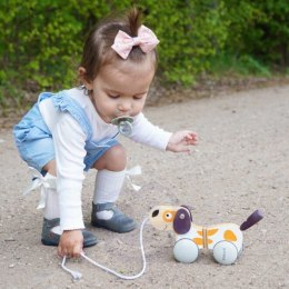 VIGA PolarB Drewniany Piesek do Ciągnięcia Koordynacja, Równowaga