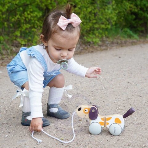 VIGA PolarB Drewniany Piesek do Ciągnięcia Koordynacja, Równowaga