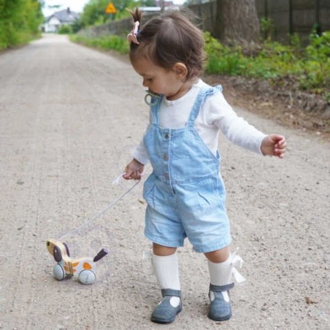 VIGA PolarB Drewniany Piesek do Ciągnięcia Koordynacja, Równowaga