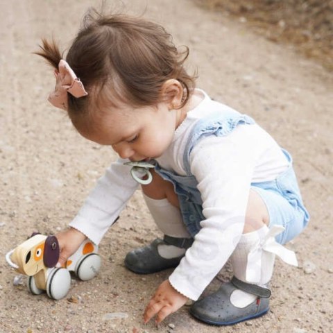 VIGA PolarB Drewniany Piesek do Ciągnięcia Koordynacja, Równowaga