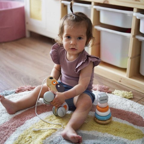 VIGA PolarB Drewniany Piesek do Ciągnięcia Koordynacja, Równowaga