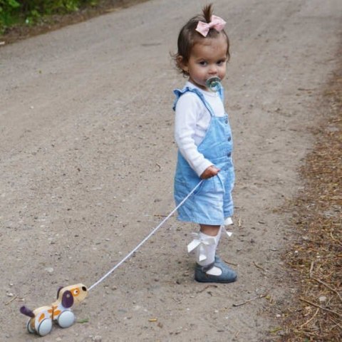 VIGA PolarB Drewniany Piesek do Ciągnięcia Koordynacja, Równowaga