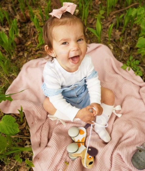 VIGA PolarB Drewniany Piesek do Ciągnięcia Koordynacja, Równowaga