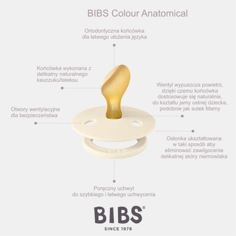 BIBS COLOUR ANATOMICAL IRON M Smoczek ortodontyczny kauczuk Hevea