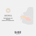 BIBS COLOUR ANATOMICAL IRON M Smoczek ortodontyczny kauczuk Hevea