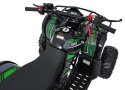 Pojazd Quad Spalinowy WILDPEAK 110cc Zielony