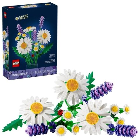 BOTANICALS STOKROTKI