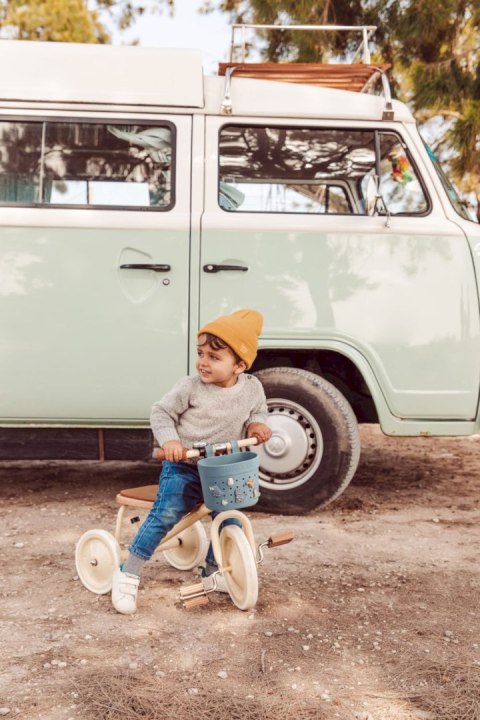 Banwood Koszyk Pin & Ride Teal