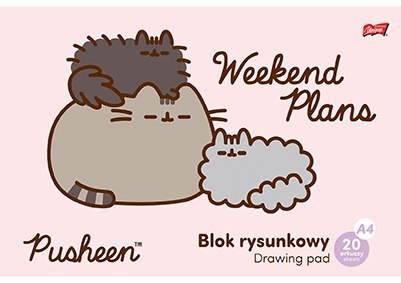 Blok Rysunkowy Pusheen The Cat Kotek A4
