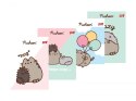 Zeszyt w trzy linie 32 kartkowy Kotek Pusheen The Cat