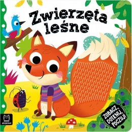Zobacz dotknij poczuj zwierzęt