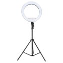 Lampa pierścieniowa ze statywem i pilotem ring LED RGB