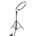 Lampa pierścieniowa ze statywem i pilotem ring LED RGB