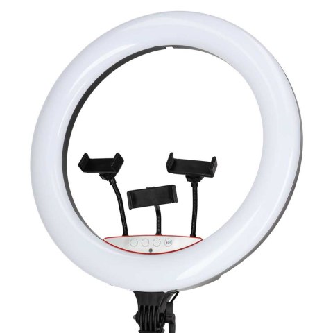Lampa pierścieniowa ze statywem i pilotem ring LED RGB