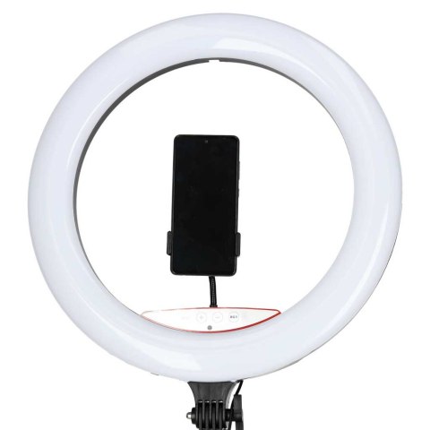 Lampa pierścieniowa ze statywem i pilotem ring LED RGB