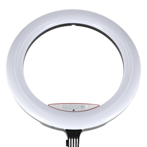 Lampa pierścieniowa ze statywem i pilotem ring LED RGB