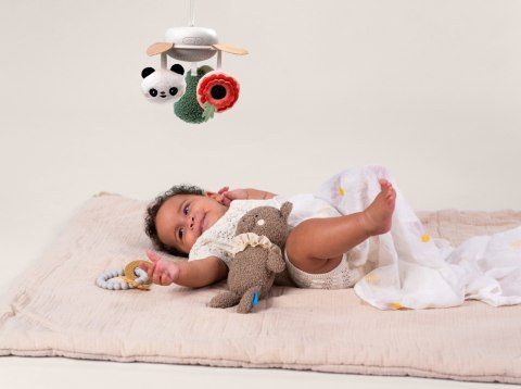 Taf Toys Ekskluzywny Zestaw Prezentowy dla Noworodka