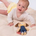 Taf Toys Pies Daniel - przytulanka i gryzak dla niemowląt 0m+ z funkcjami sensorycznymi