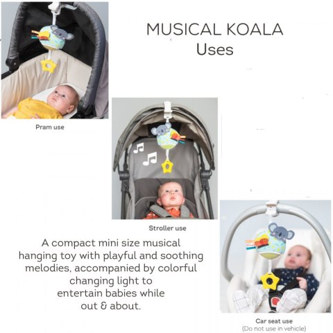 Taf Toys Pozytywka Koala Kimmy - Zabawka Muzyczna z Melodiami i Białym Szumem