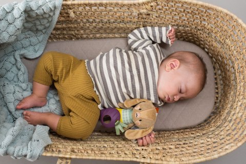 Taf Toys Zawieszka Króliczek Jenny z Gryzakiem - Kolekcja Urban Garden